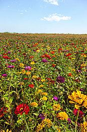 国外玩家用AI技术打造真人《街头霸王2》电影剧照